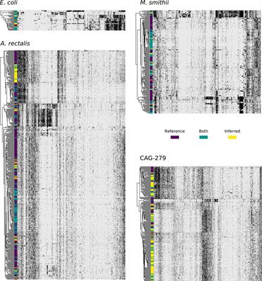 Scalable Microbial Strain Inference in Metagenomic Data Using StrainFacts